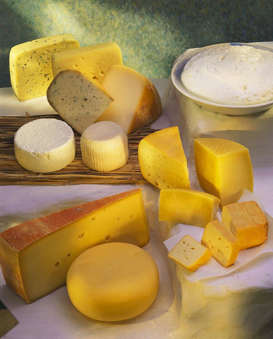 Still life with various types of cheese and cream cheese