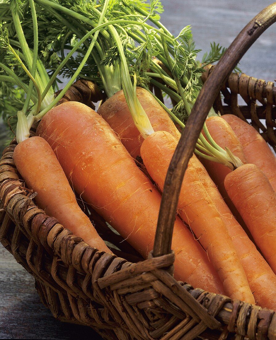Fresh garden carrots in a basket