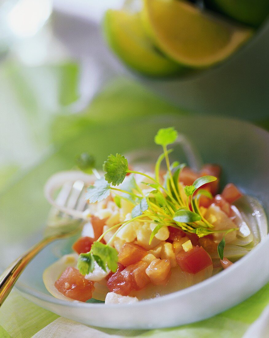 Catfish cevice with tomatoes, coriander in bowl with fork