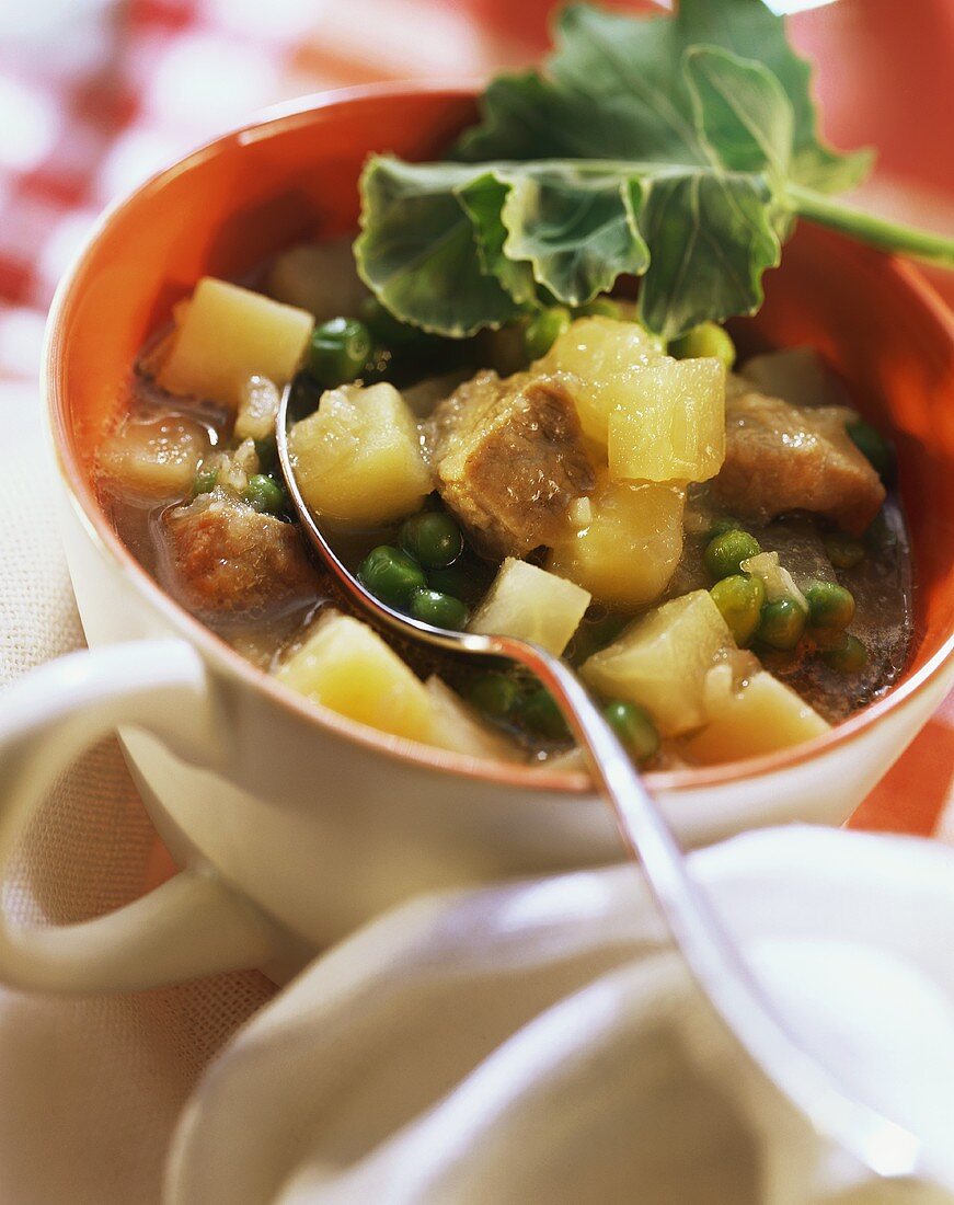 Vegetable stew with kohlrabi & pork in soup cup