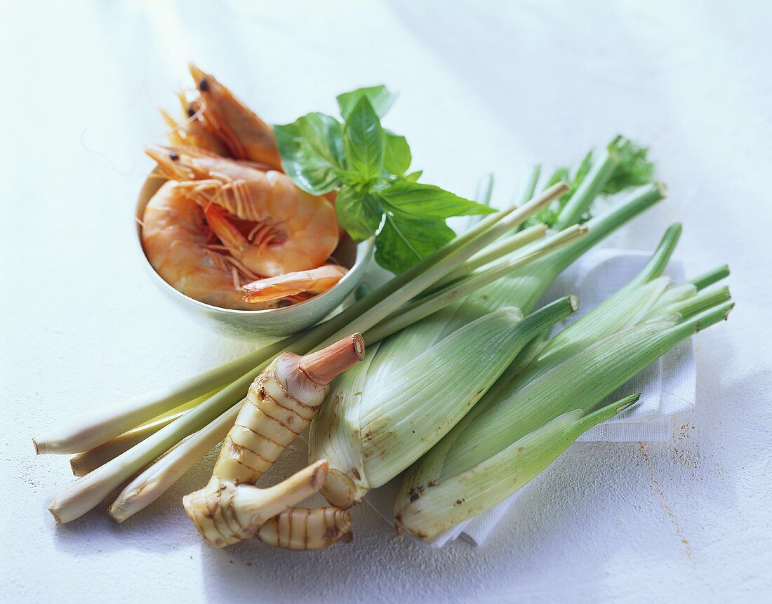 Still life with shrimps, fennel, lemon grass & ginger