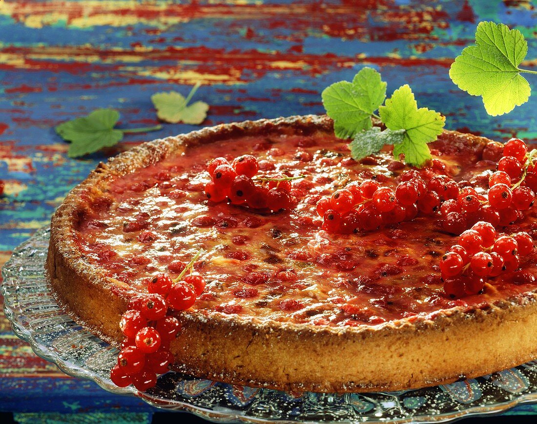 Redcurrant tart with trusses of redcurrants on glass plate