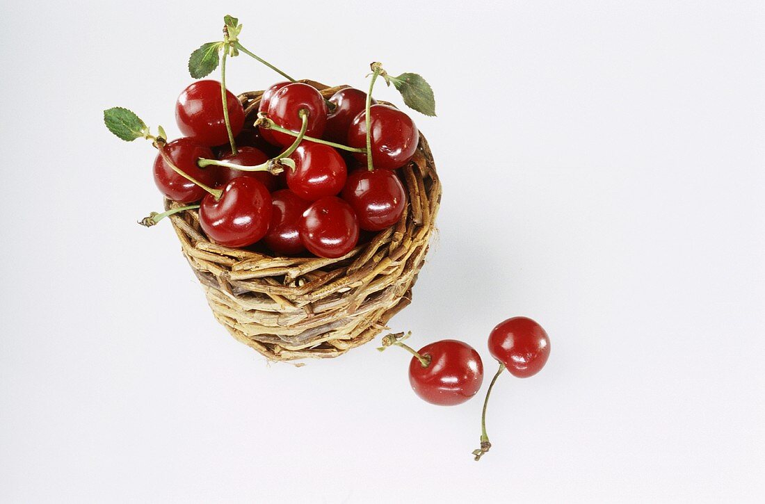 Morello cherries in basket
