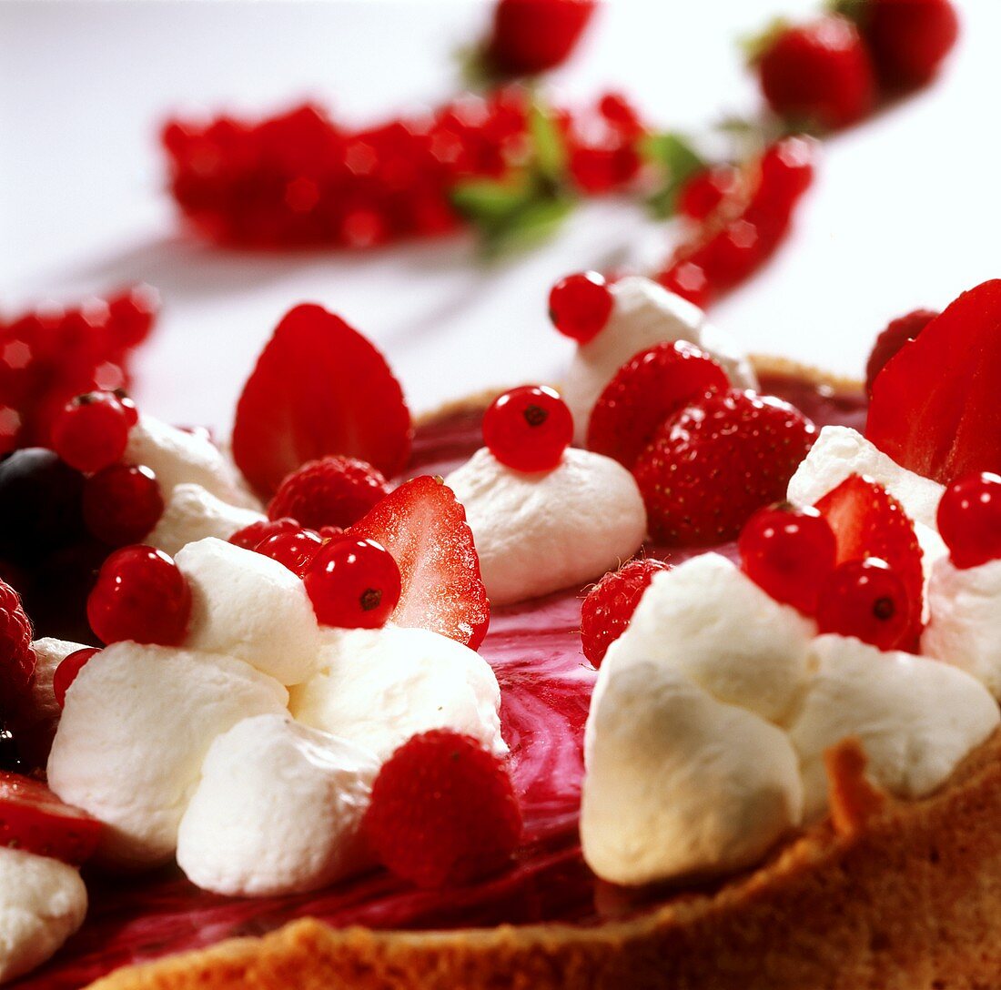 Yoghurt cake with berries and cream