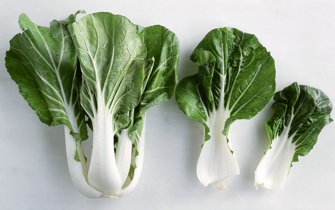 Pak choi with drops of water