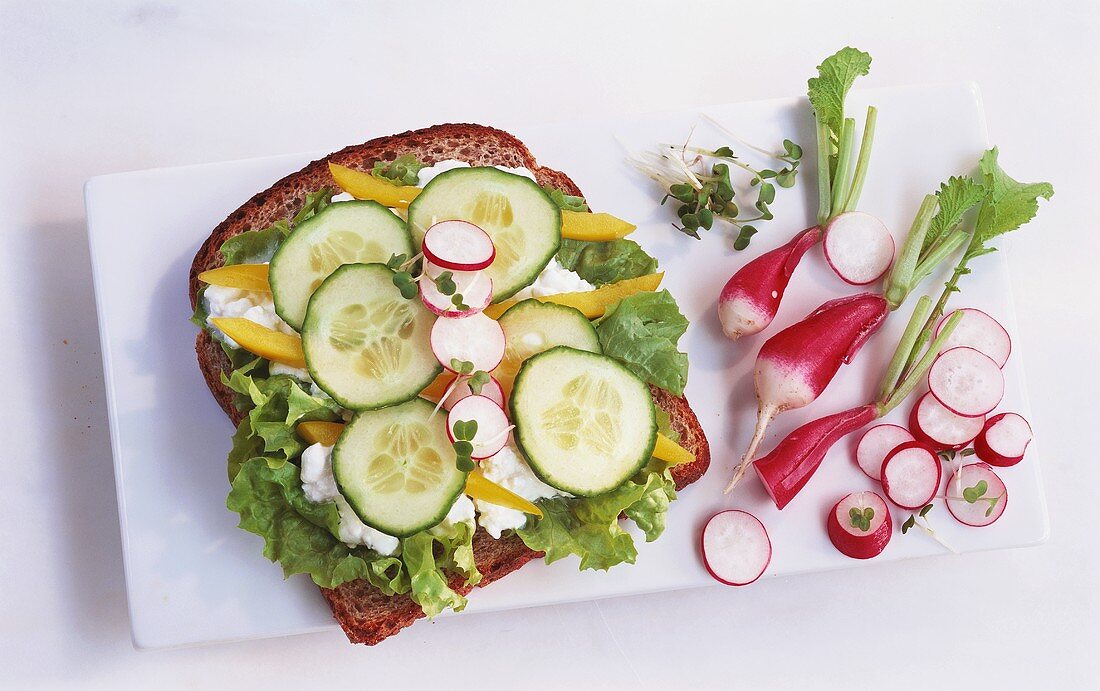Wholemeal bread, cottage cheese, radishes, cucumber & lettuce