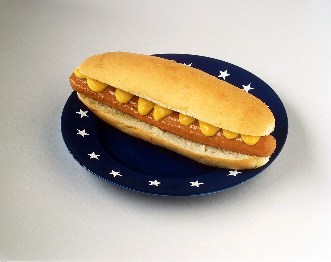 Hot dog with mustard on blue plate with white stars