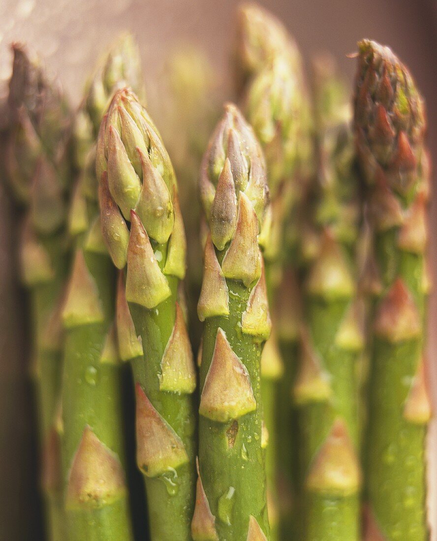 Grüner Spargel mit Wassertropfen