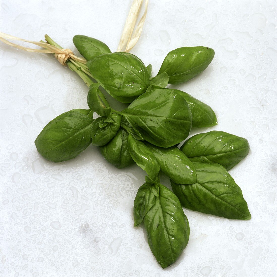 A bunch of basil with drops of water on marble background