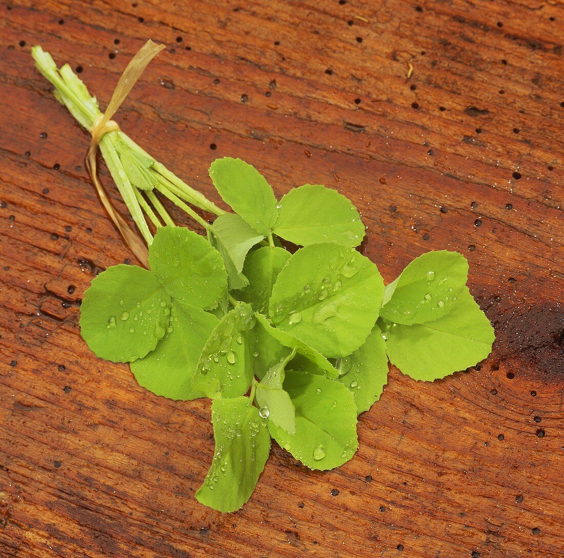 A bunch of henbane with drops of water on wooden background