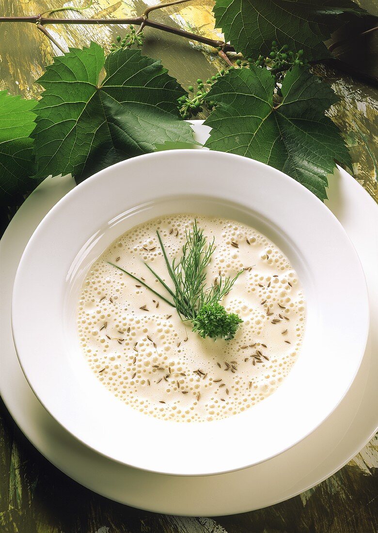 Mainzer Handkässuppe mit Kümmel und frischen Kräutern