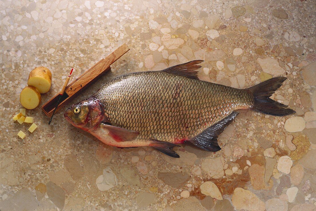 Bream on brown marble with halved potato