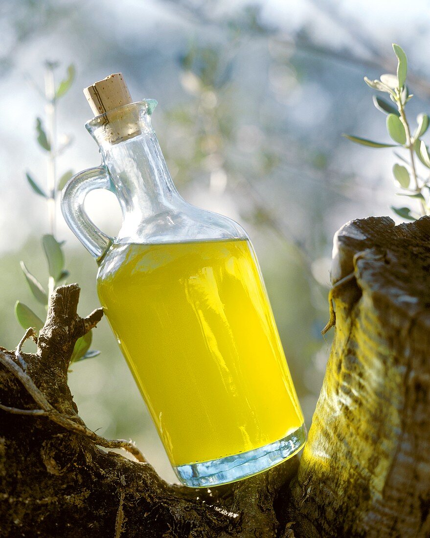 Eine Karaffe Olivenöl auf einem Baumstamm