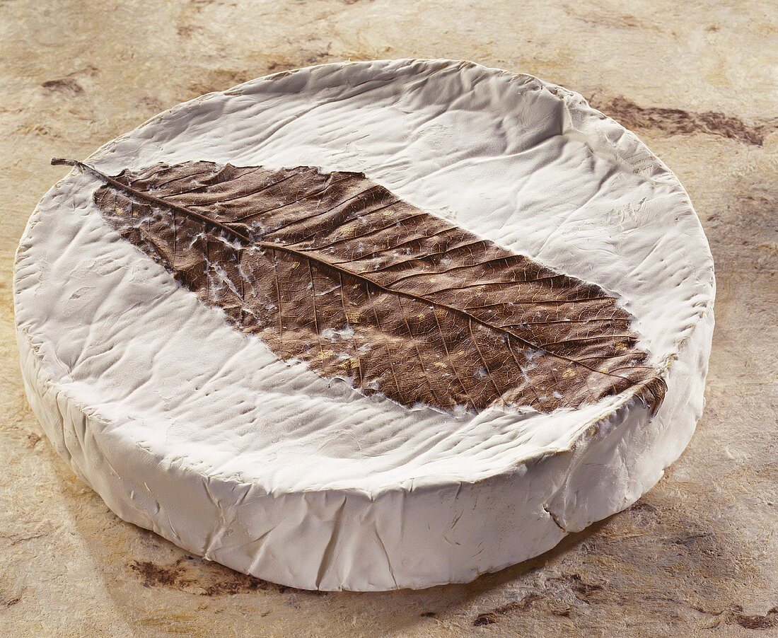 Feuille de Dreux, a French soft cheese