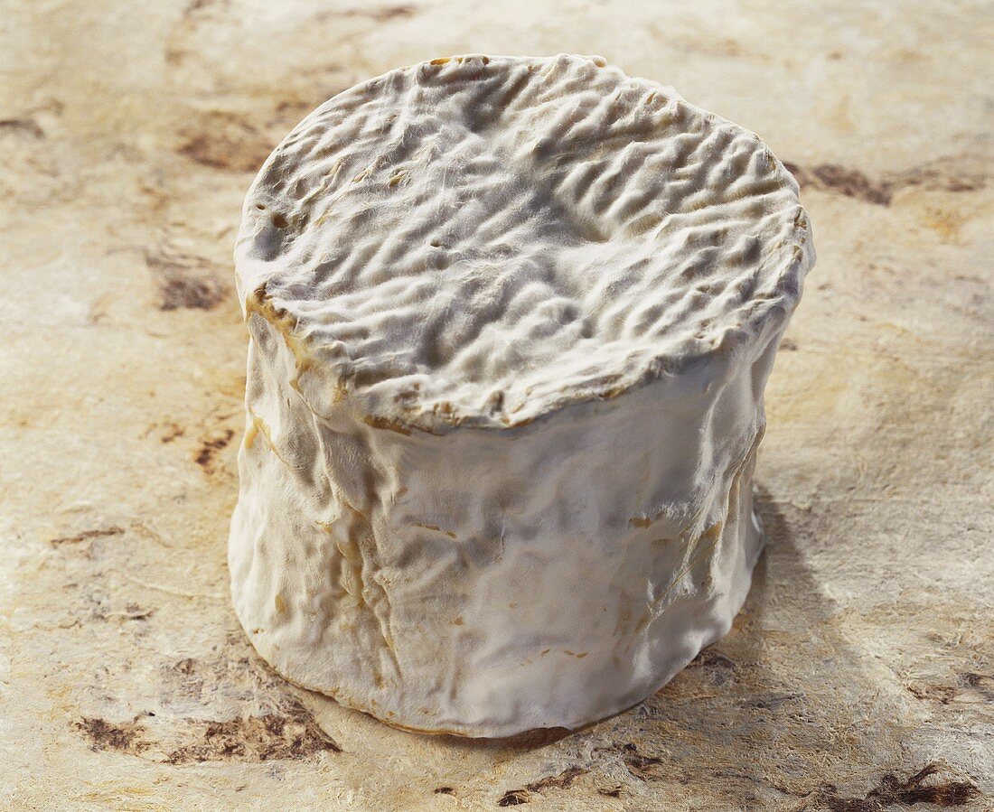 Saint-Antoine, a French soft cheese, on light background