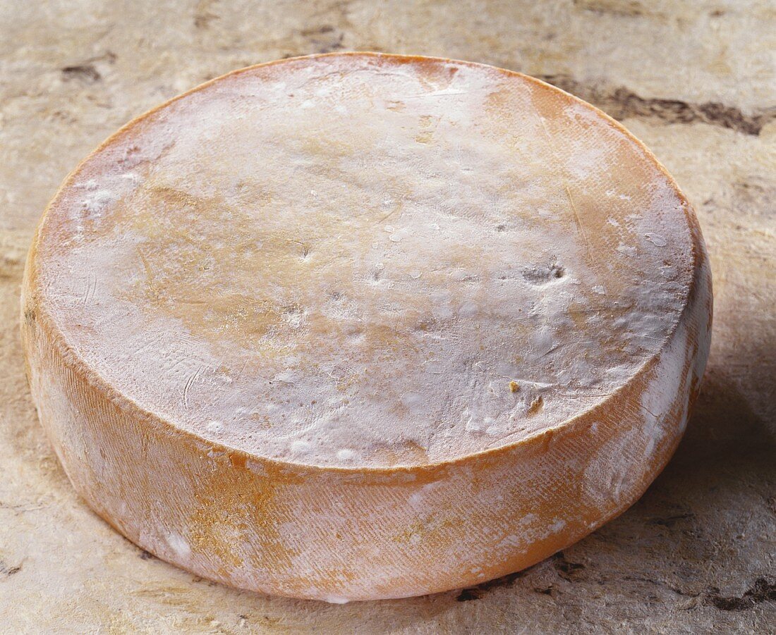 Tamie, a French semi-hard cheese, on brown background