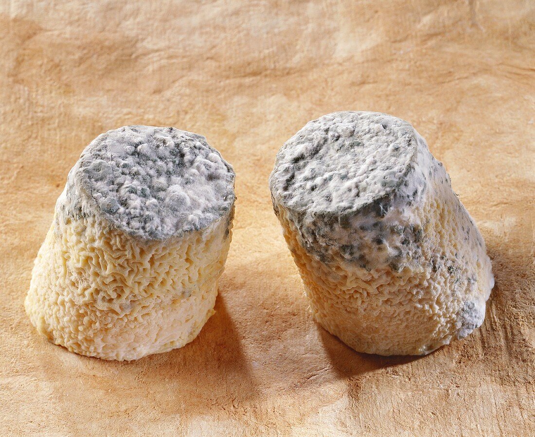 Caboin, a French goat's cheese, on brown background