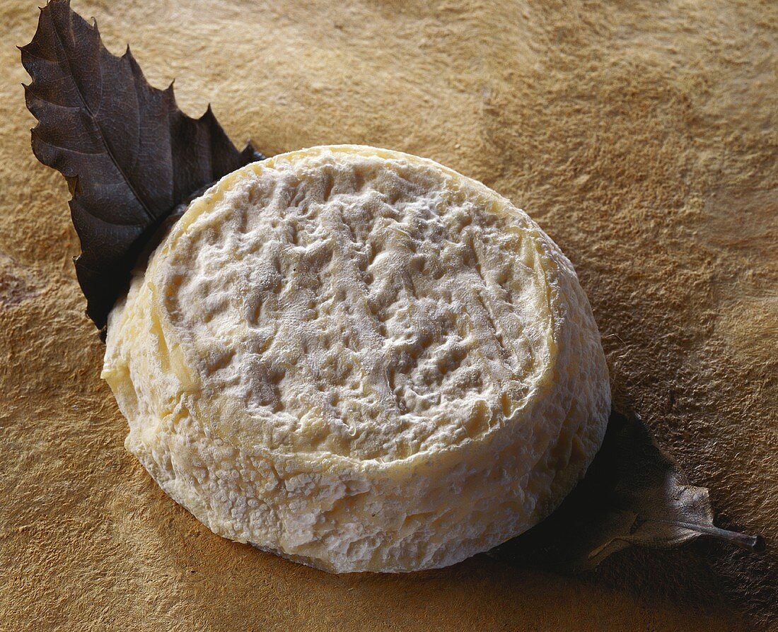 Capri Lezeen, a French goat's cheese
