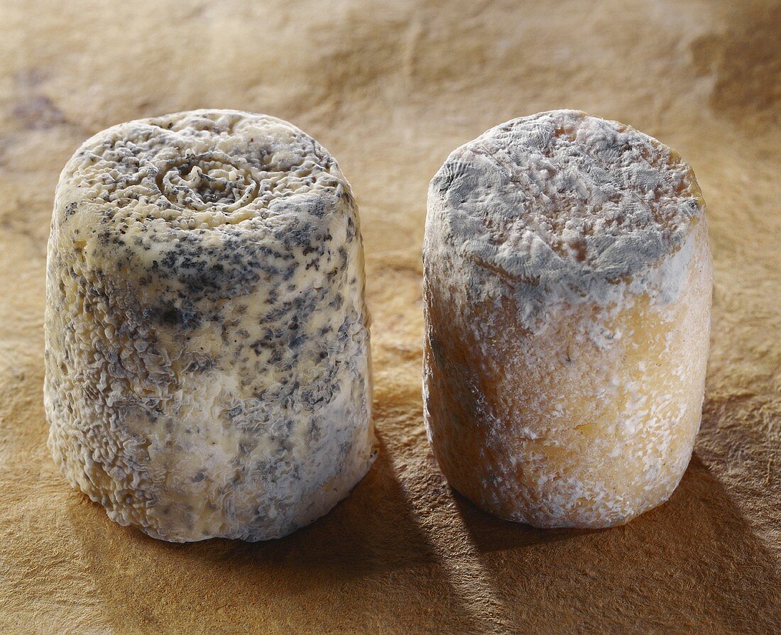 Chabichou du Poitou and Charolais, French goat's cheeses