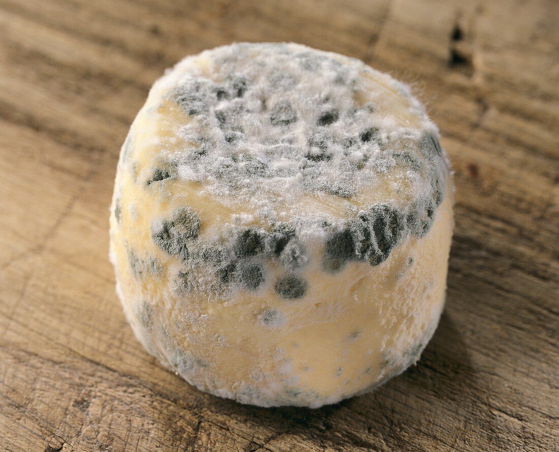 French goat's cheese, Crottin de Chavignol 