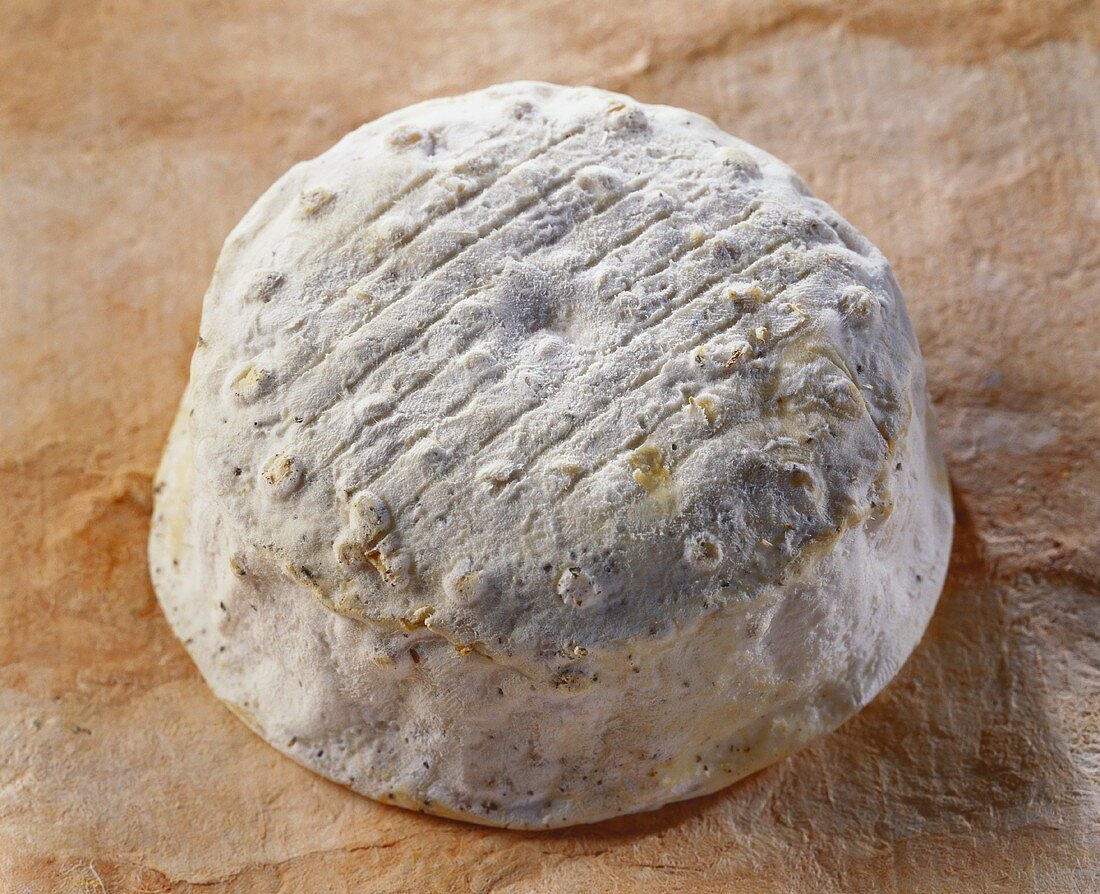 Le Provence, a French goat's cheese, on brown background