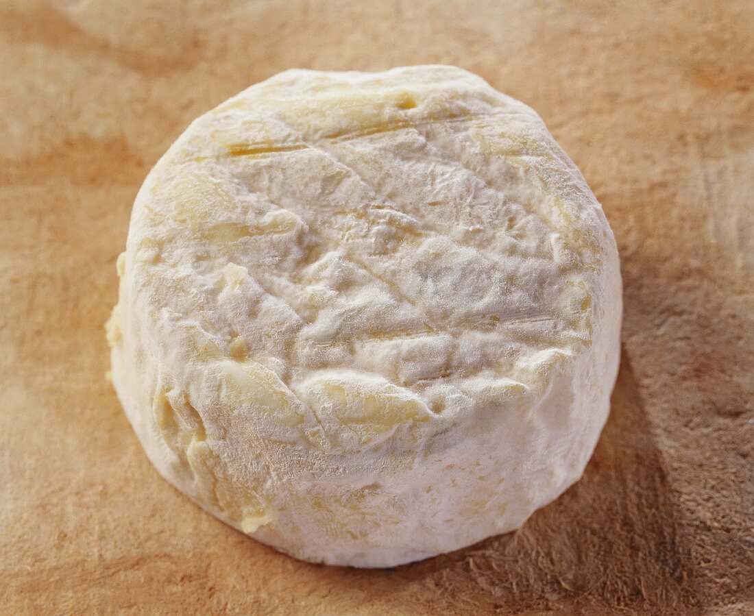 Pelardon, a French goat's cheese, on brown background
