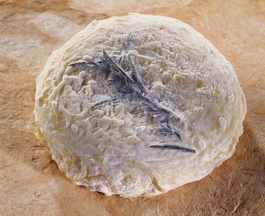 Petit Fermier, a French goat's cheese