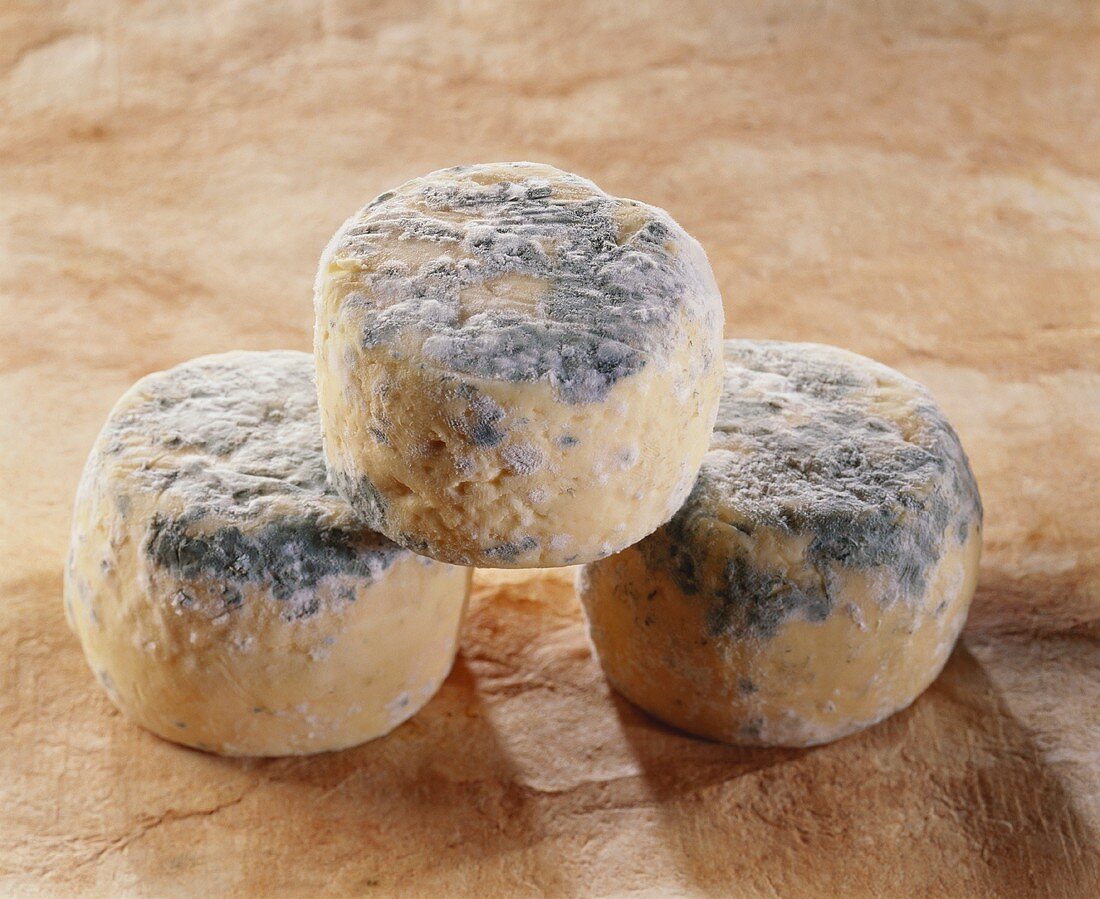 Santranges, a French goat's cheese
