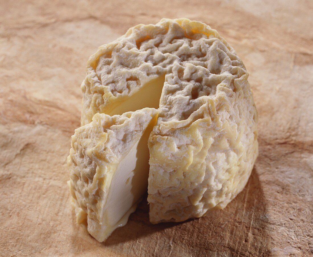 Notle, a sheep's cheese, on reddish background
