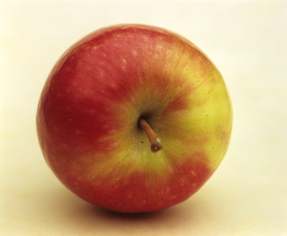 Ein Apfel, Sorte Pink Lady (Südafrika)
