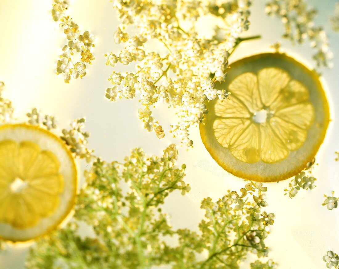 Elderflowers and two slices of lemon