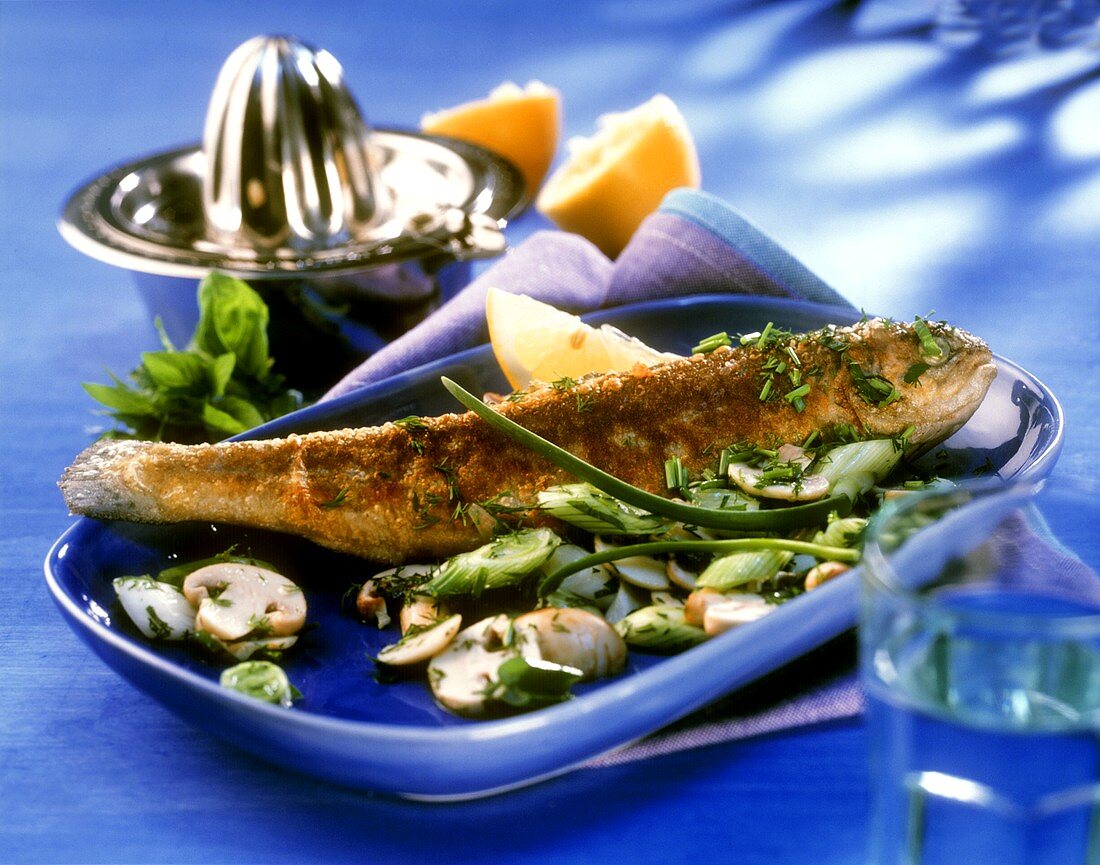 Stuffed brook trout with mushroom and spring onion salad