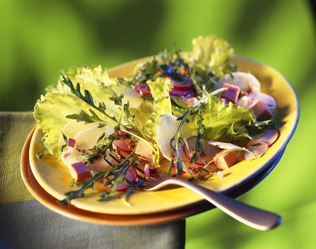 Radish salad with rocket and Fleischwurst on yellow plate