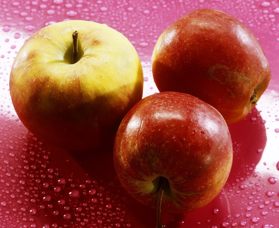 Three Elstar apples on a pink background with drop of water