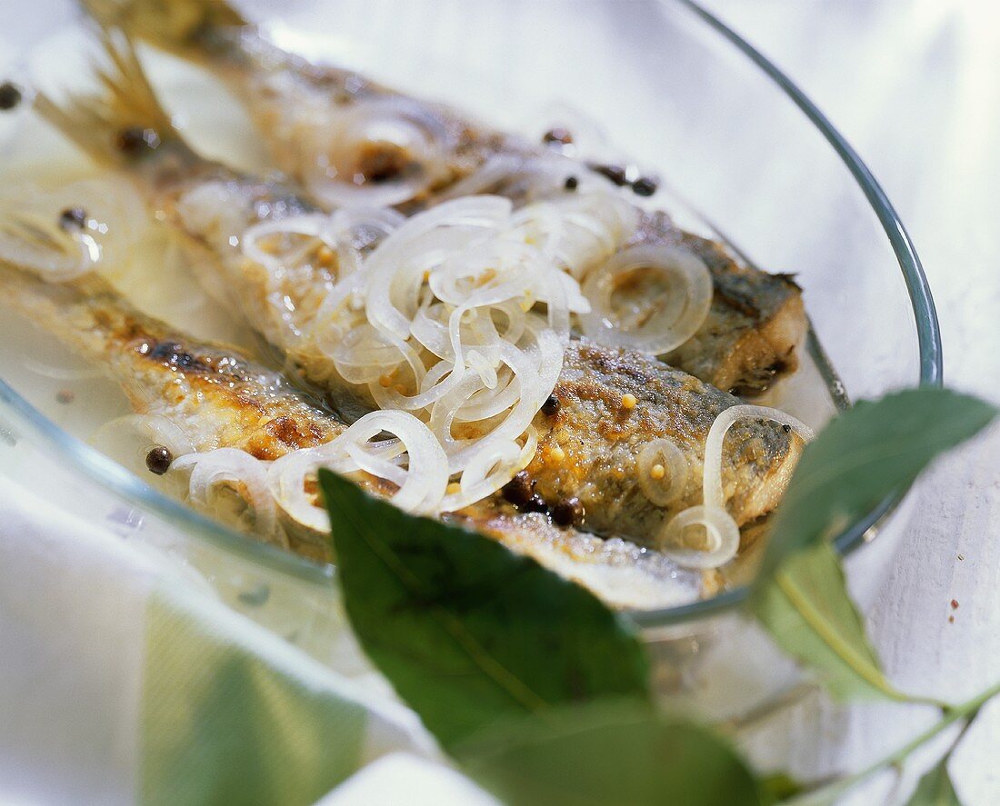 Pickled herrings with onions in glass dish