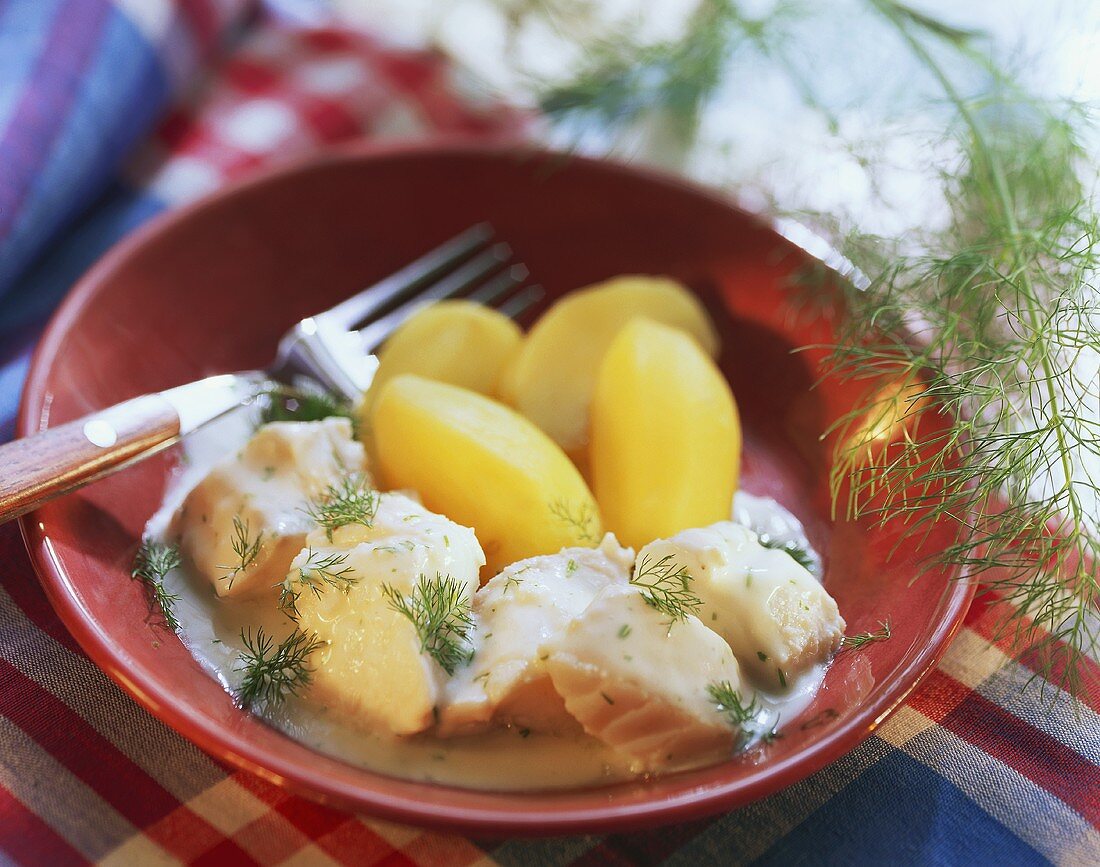 Poached fish in dill sauce with boiled potatoes & dill sprigs