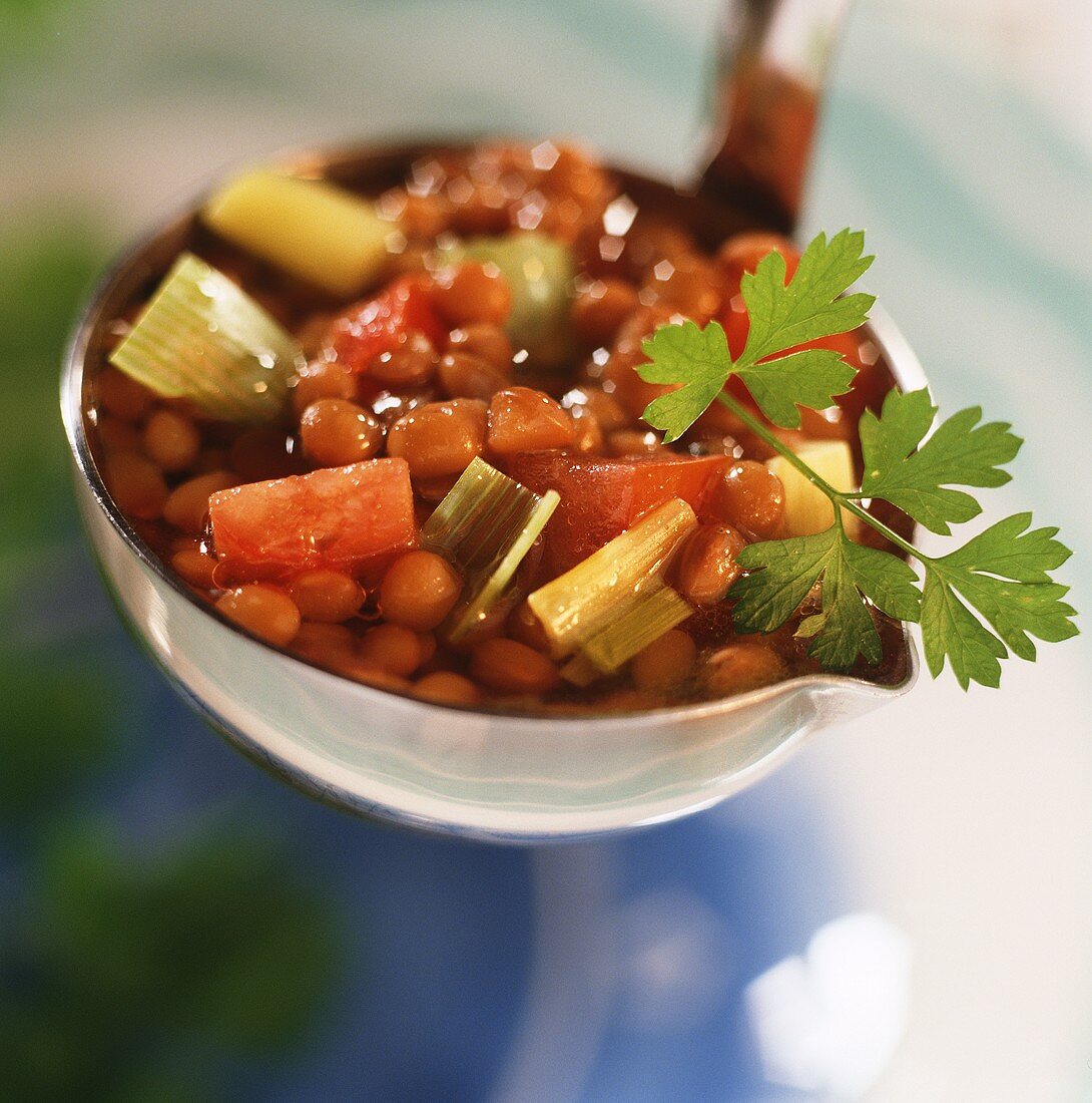Linsen-Gemüse-Suppe auf Kelle