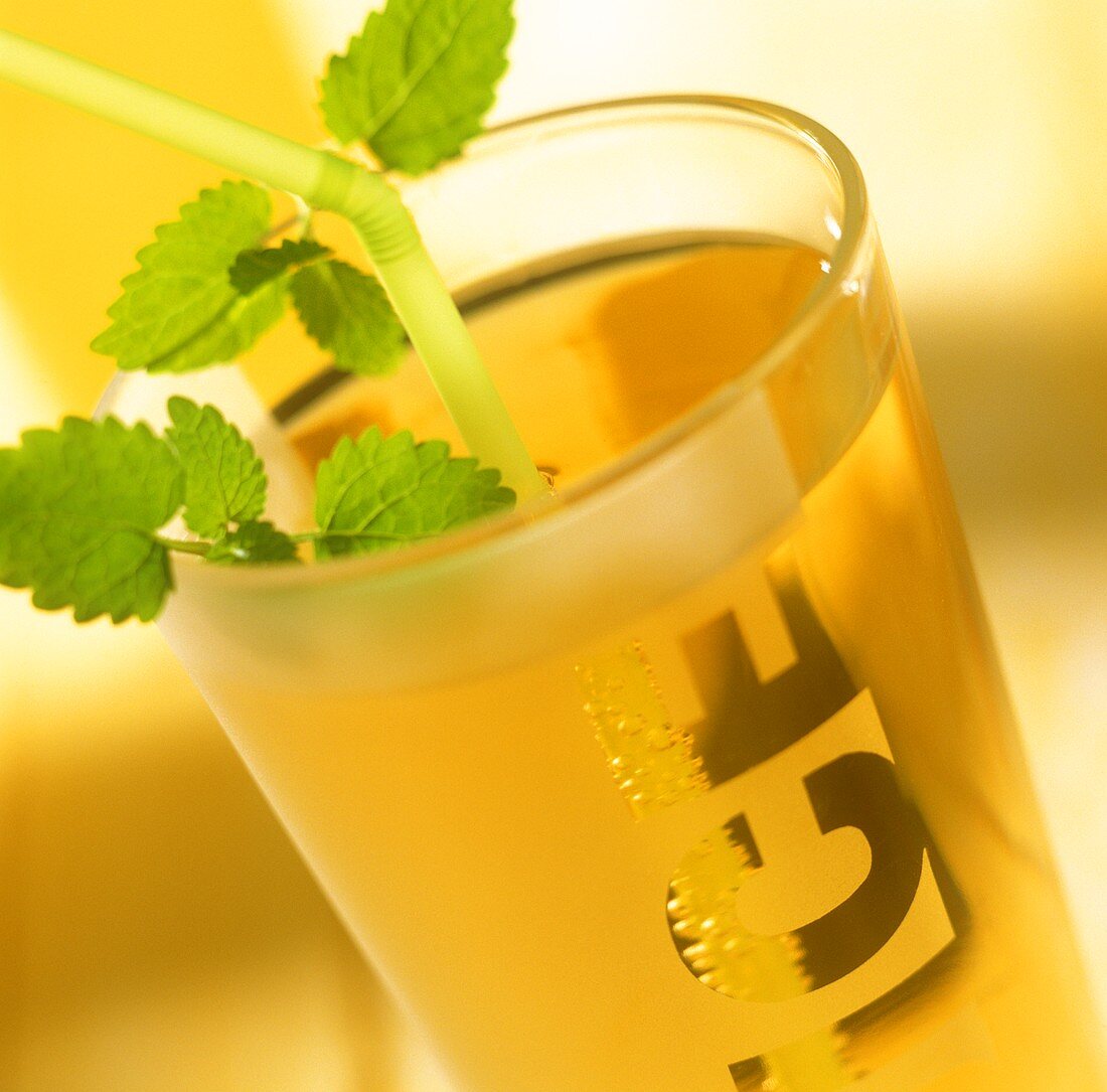 Elderflower lemonade in glass with mint and straw