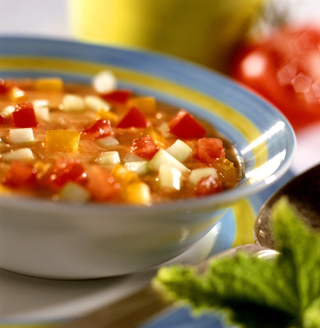 Kalte Tomaten-Gemüse-Suppe im Suppenteller