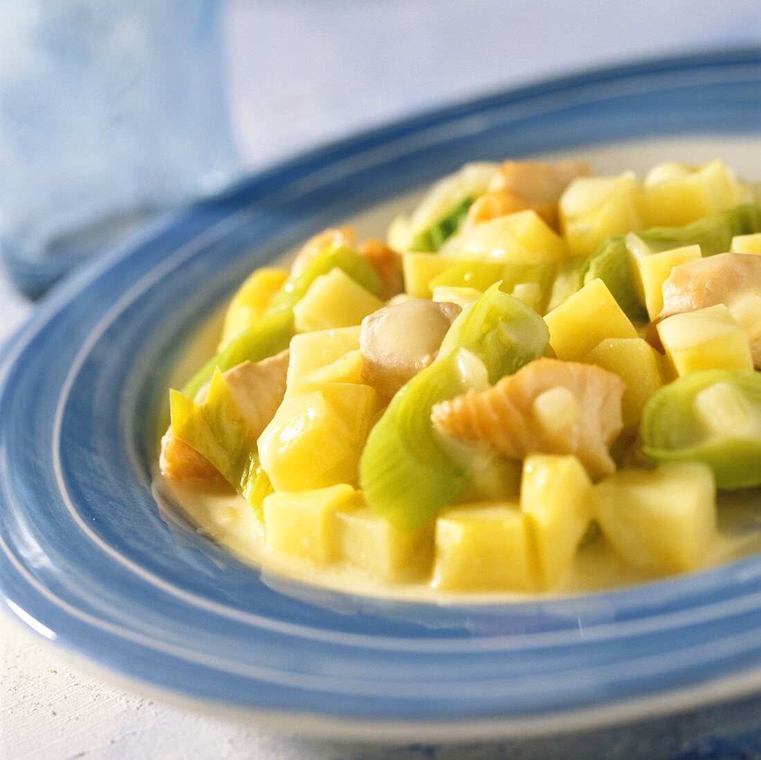 Potato and fish ragout with leeks on plate