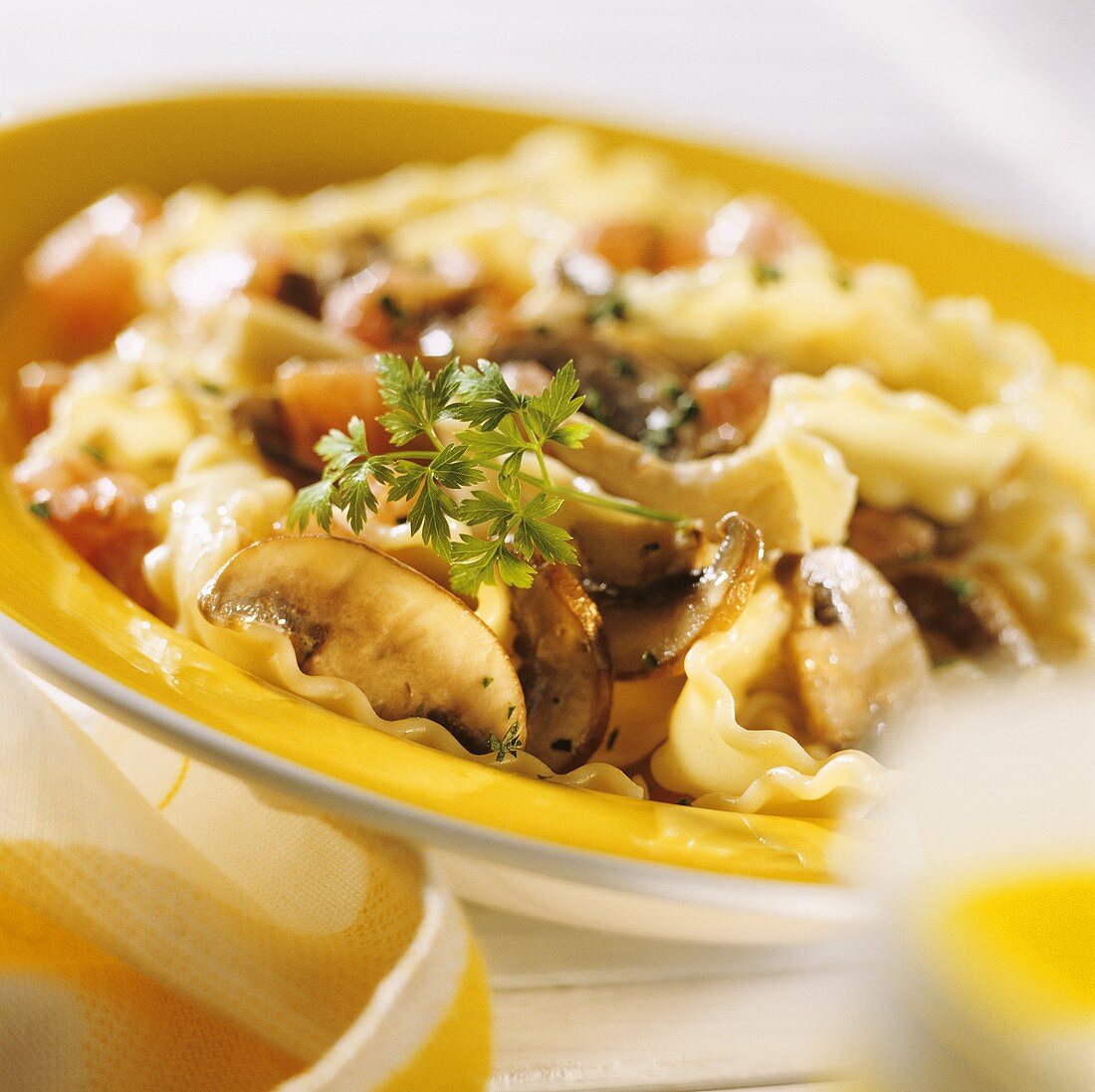 Ribbon pasta with mushroom ragout and tomatoes