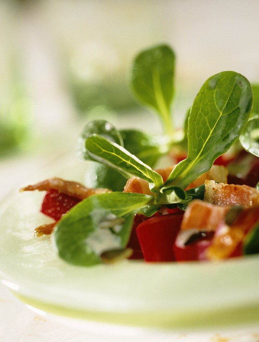 Feldsalat mit Roter Bete, Speck und Kürbiskernen