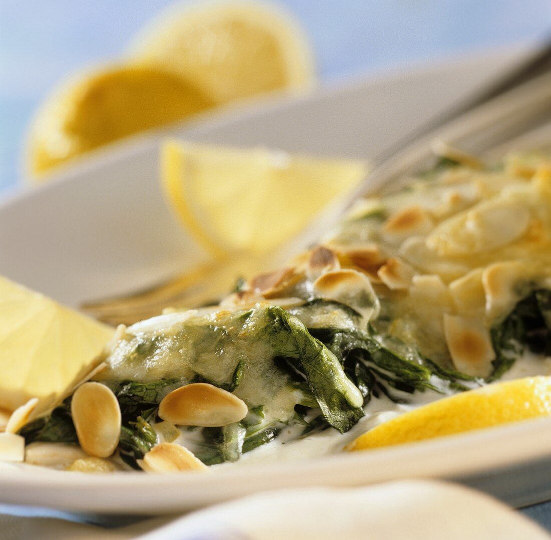 Gratin of cod fillet with spinach and flaked almonds