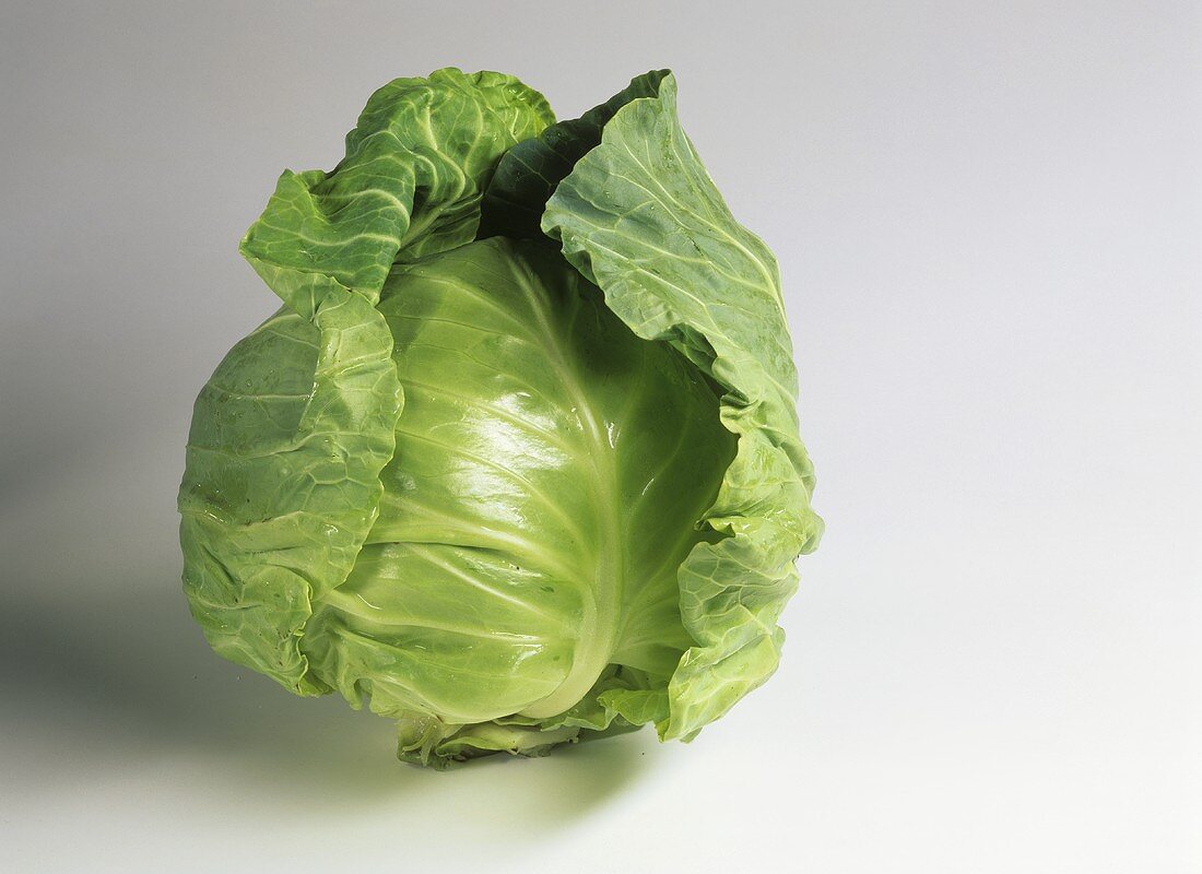 A white cabbage on light background