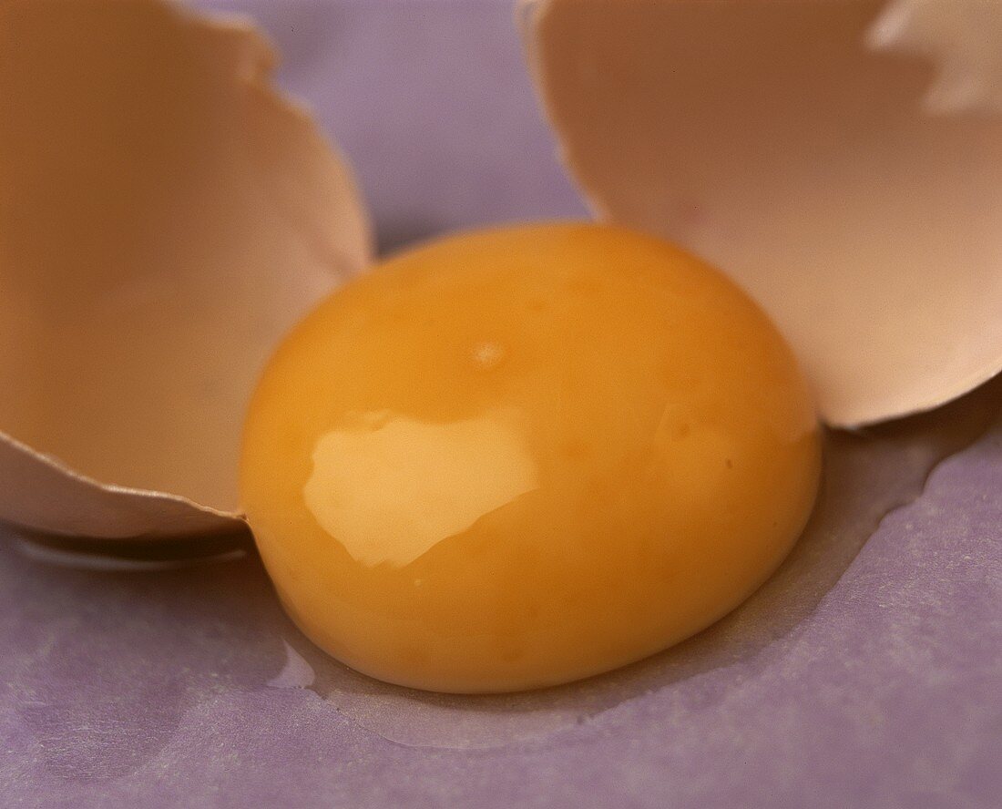 Egg yolk between two egg shells