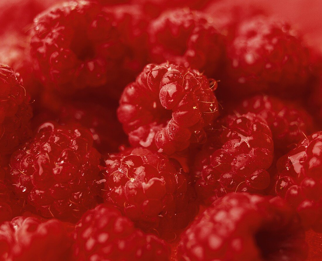 Fresh raspberries with drops of water (Close-up)