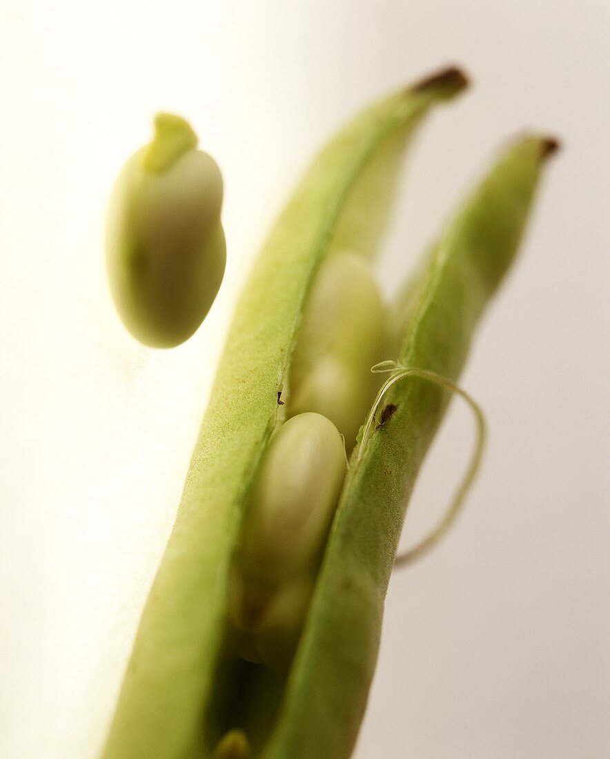 Green beans pods with beans