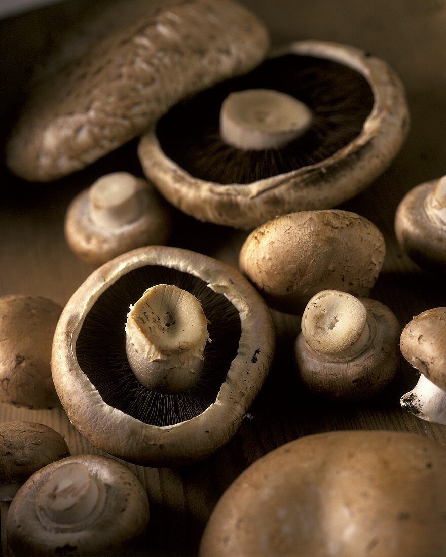 Mushrooms on a wooden background