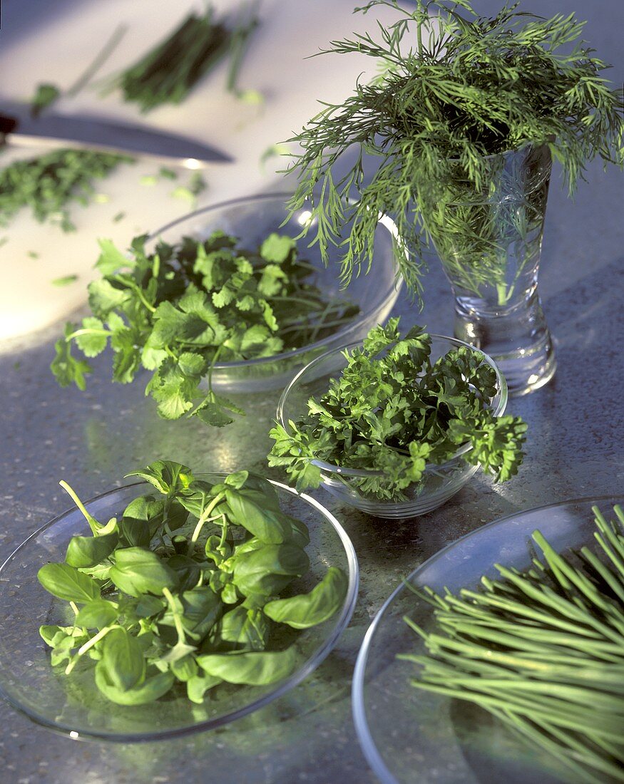 Herbs on Glass Plates