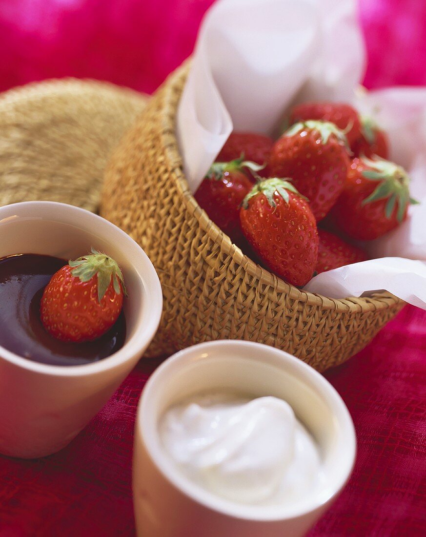 Frische Erdbeeren mit Schokoladen- und Vanilledip